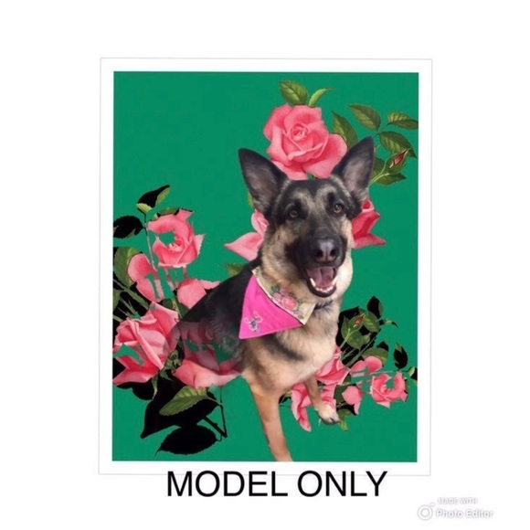 HANDMADE DOG BANDANA PERSONALIZED EMBROIDERED CHARLIE REVERSIBLE SLIP ON COLLAR - Picture 10 of 10